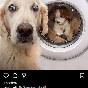 Meet your Posher, Glendy